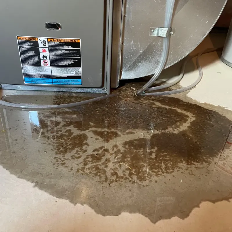 Appliance Leak Cleanup in Pearl City, HI