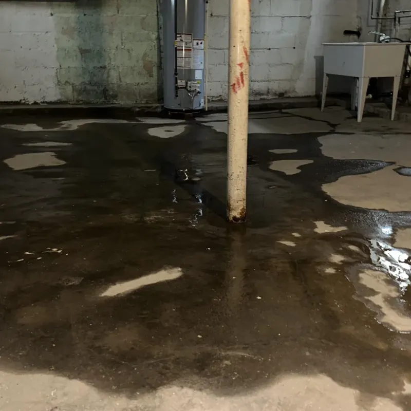 Emergency Water Extraction And Removal in Pearl City, HI